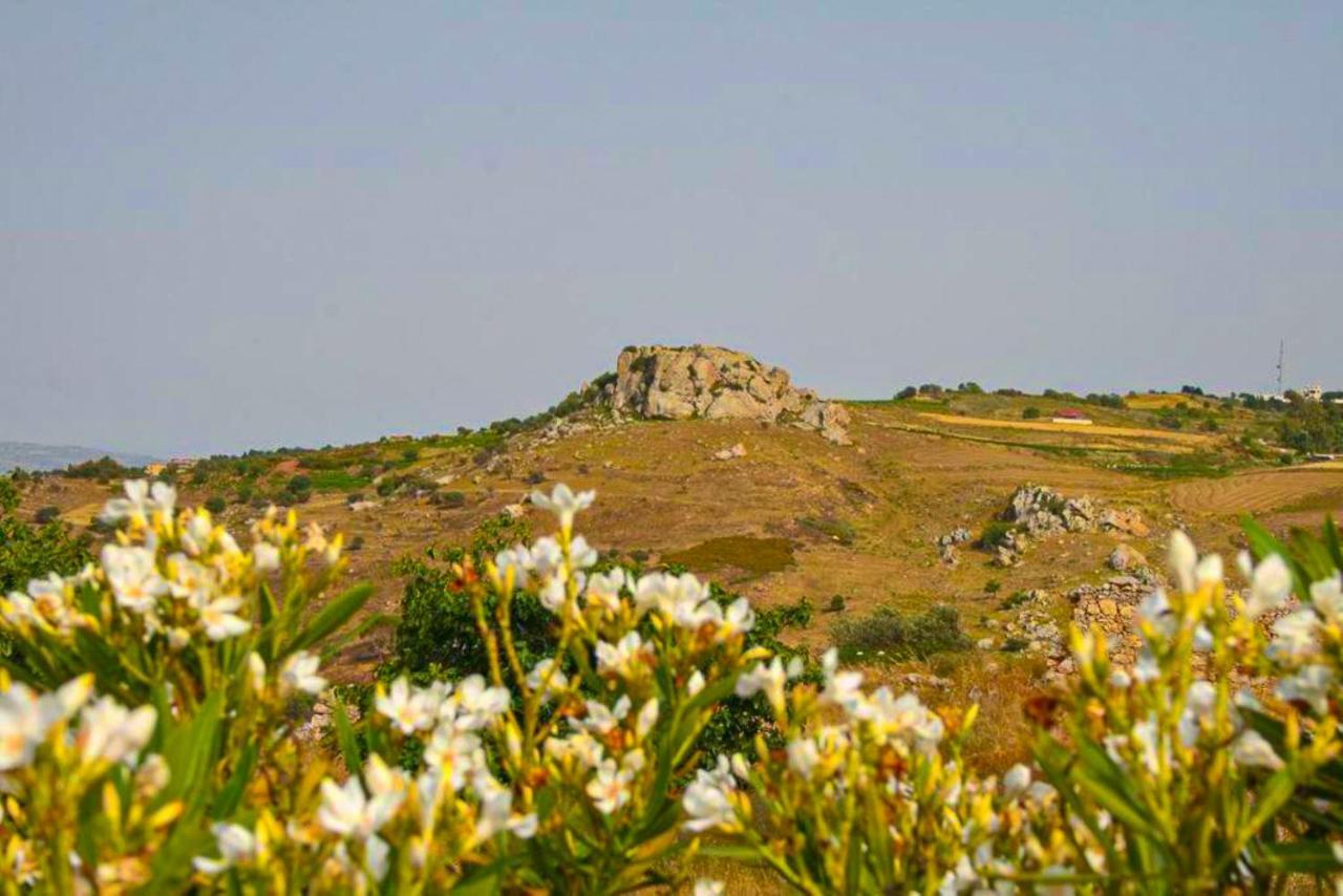 Villa Styliani Dhrousha Esterno foto